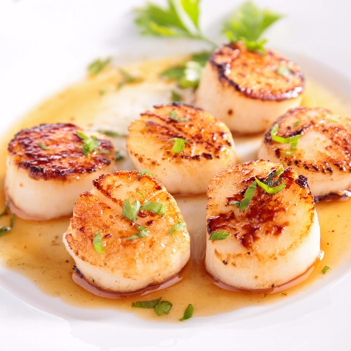 Scallops